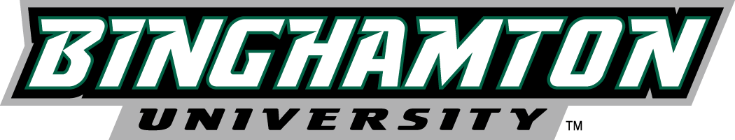 Binghamton Bearcats 2001-Pres Wordmark Logo v2 DIY iron on transfer (heat transfer)